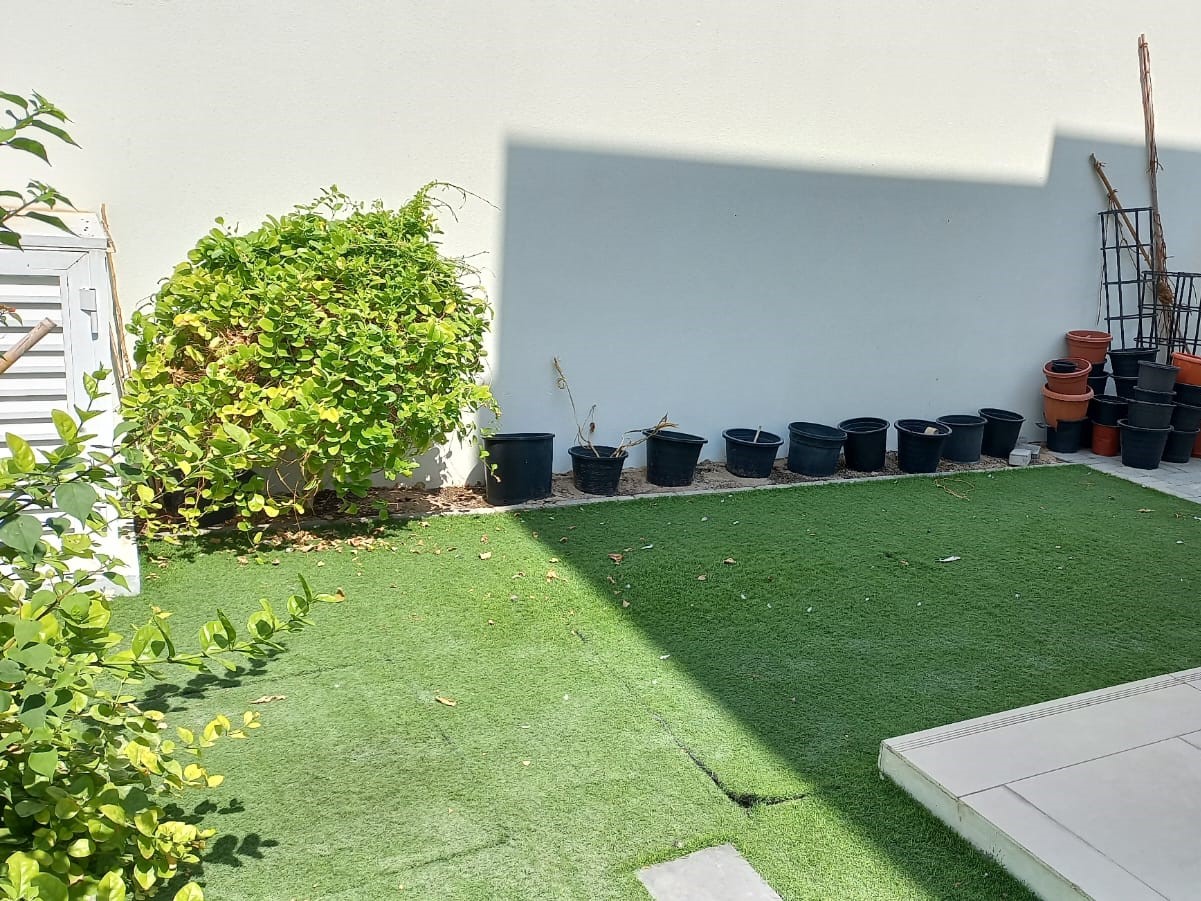 WhatsApp-Image-2024-11-12-at-6.51.11-PM-1